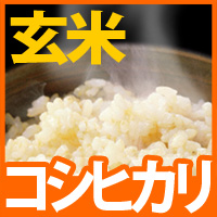 富山県産コシヒカリ玄米