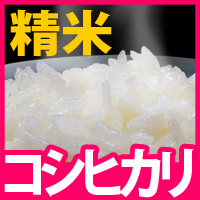 富山県産コシヒカリ